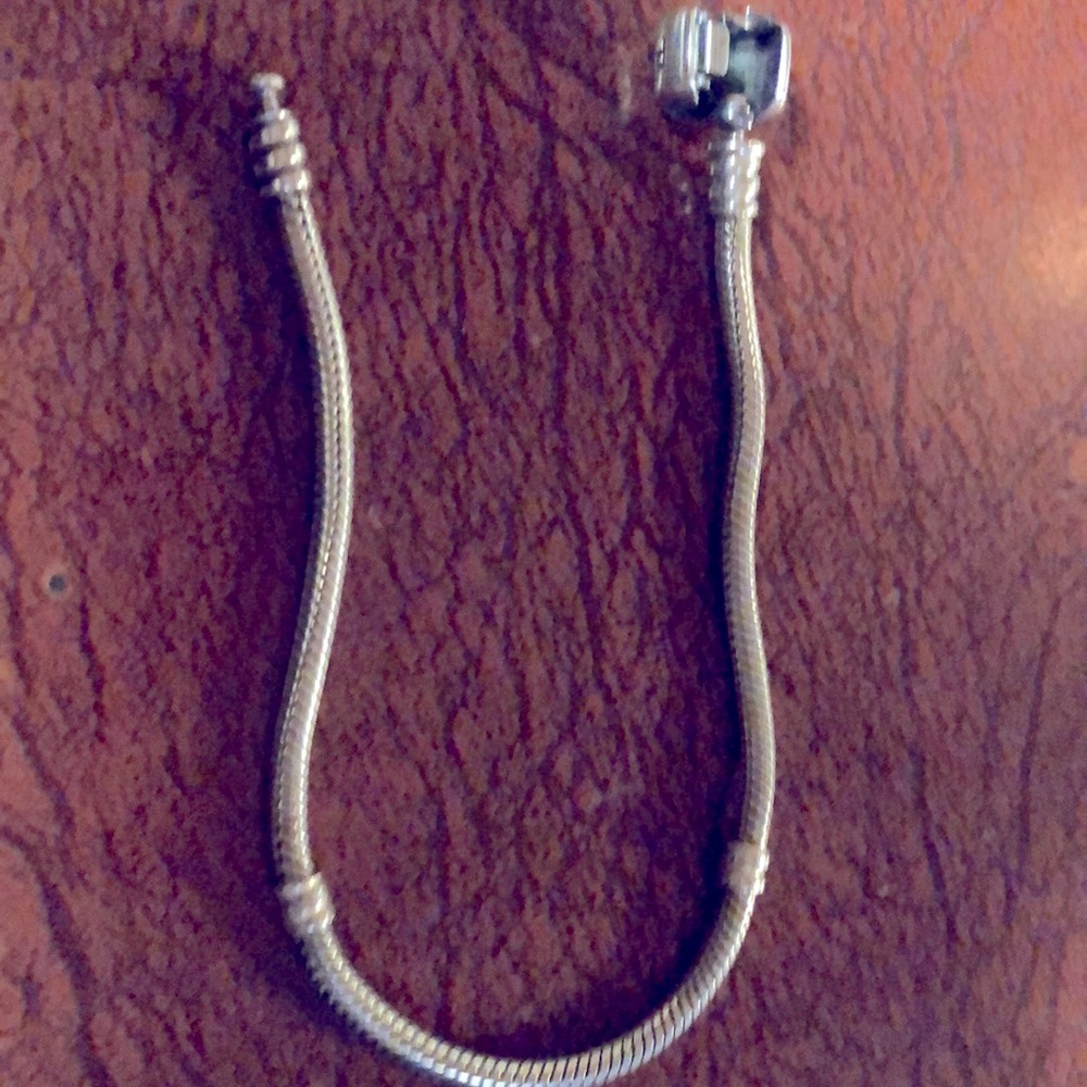 Authentic Pandora snake 8” chain